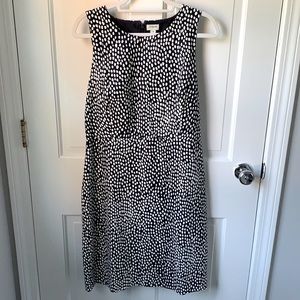 JCrew Navy and white dot dress, size 14